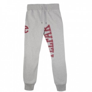 Pantalon Survêtement Telfar Sweatpants Logo Grise | FRIS3359